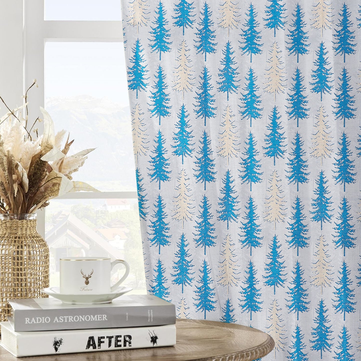 curtains for home